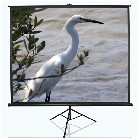 Elite Screens Tripod Series