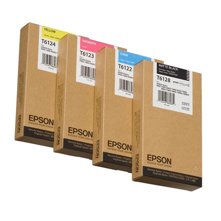 Epson T612300