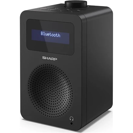 Sharp Digital Radio