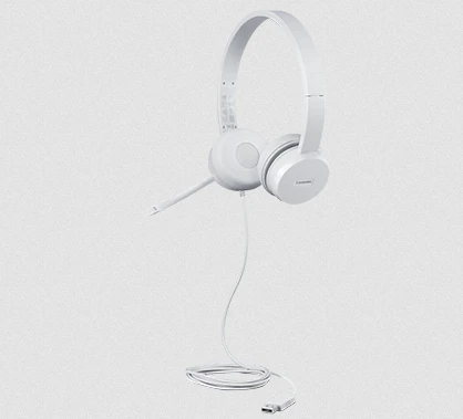 Lenovo 110 Stereofonai