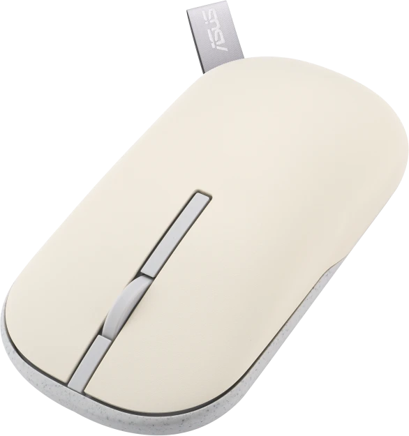 Asus MD100